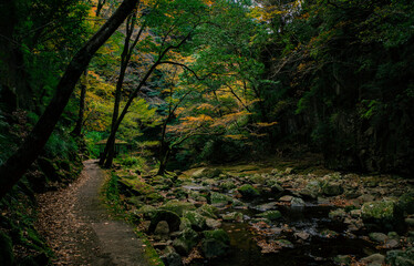 三重県赤目四十八滝　秋の紅葉