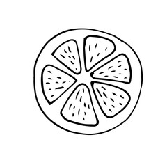 Round orange slice vector illustration isolated