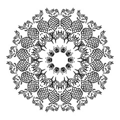 Round pattern mandala with exotic fruits and leaves. Hand Drawn Monochrome , Decorative Leaves, Coloring Book.