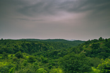beautiful landscape view of forest from top view