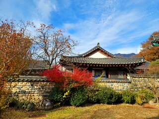 Fototapeta na wymiar Autumn of the Korean Garden