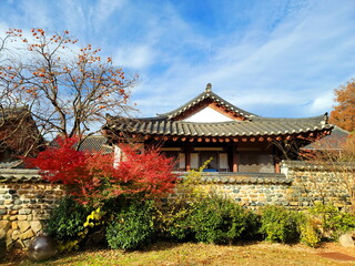 Autumn of the Korean Garden