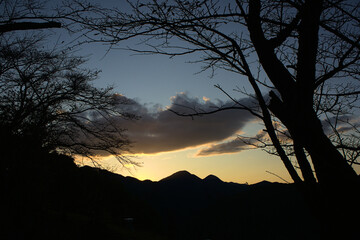 Naklejka premium 夕焼け