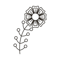 beautiful flower garden with stem and seeds line style