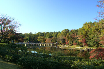 Fototapeta premium 庭園