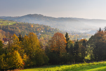 Naklejka premium Fog in the mountain forest with yellow and red leaves, top view 