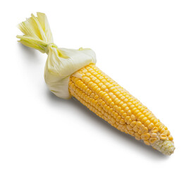 Fresh corn cob on white background
