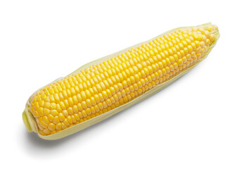 Fresh corn cob on white background