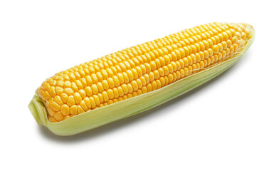 Fresh corn cob on white background