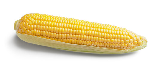 Fresh corn cob on white background