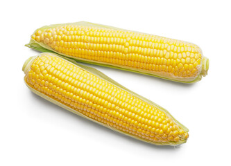 Fresh corn cobs on white background