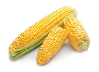 Fresh corn cobs on white background