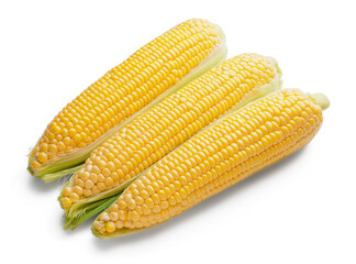 Fresh corn cobs on white background