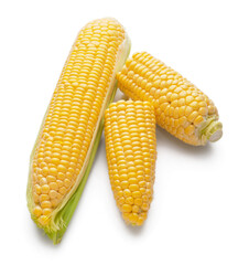 Fresh corn cobs on white background