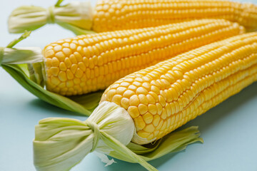 Fresh corn cobs on color background, closeup