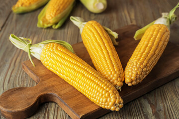 Fresh corn cobs on wooden background