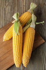 Fresh corn cobs on wooden background