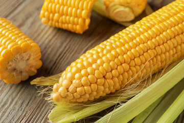 Fresh corn cobs on wooden background