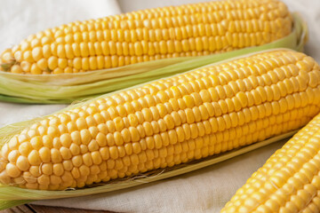 Fresh corn cobs on table