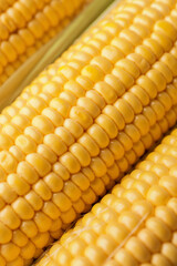 Fresh corn cobs as background, closeup