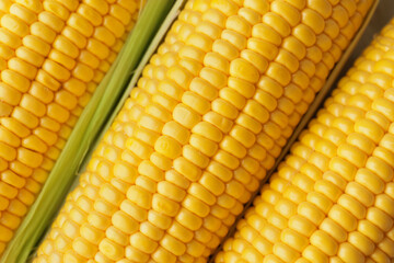 Fresh corn cobs as background, closeup