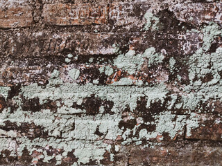Old brick wall background