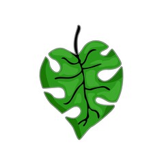 tropical leaves. Hand drawn leaves illustration
vektor