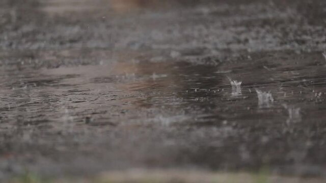 猛烈な強い雨　豪雨　道路に降りつける　水しぶき