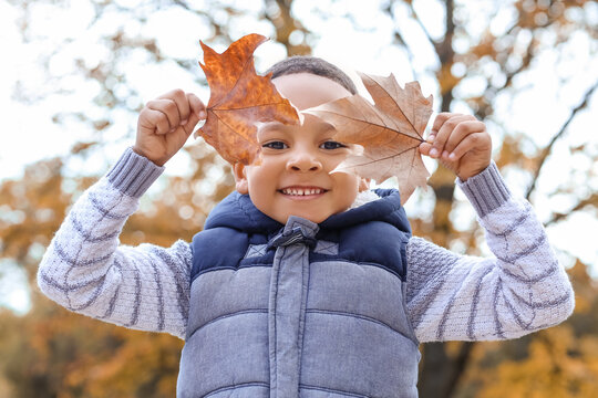 Cute African-American boy playing with leaves in autumn park