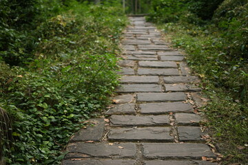 stone walking path in the green park 