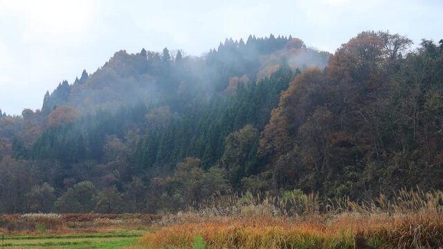 秋の田園風景　山　移動撮影