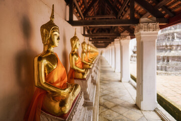 line of sitting buddha statue in temple in Thailand