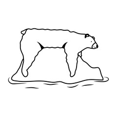 polar bear wild animal in iceberg icon