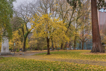 Naklejka premium Downtown Portland Oregon public park Oregon state.