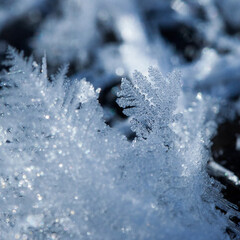 Close up Macro of a Snow Flake crystal in Winter