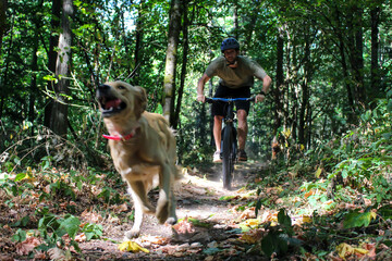 Man biking with two dogs
