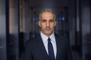 Fototapeta premium Portrait of handsome businessman wearing suit and looking at camera