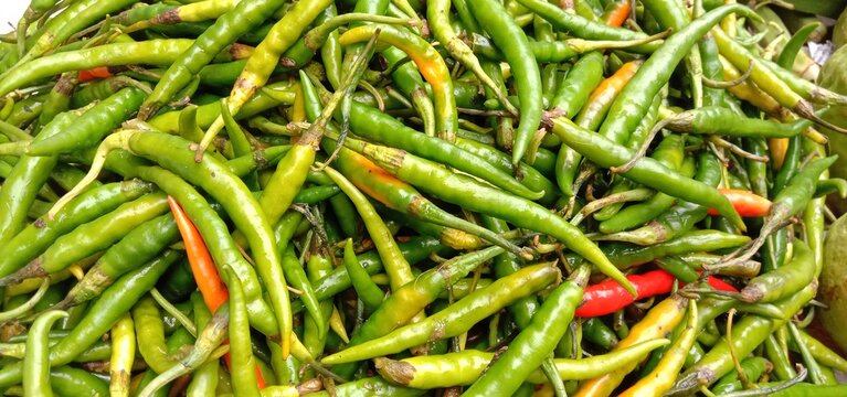 healthy and spicy and hot green chilli stock