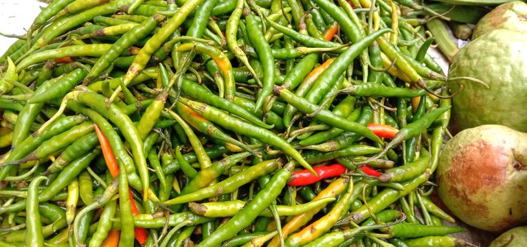 healthy and spicy and hot green chilli stock