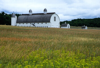 449-52 DH Day Farm in a summer sky