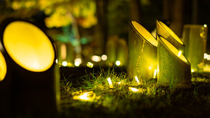 イルミネーション