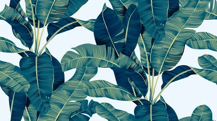 Poster Im Rahmen Botanisches nahtloses Muster, handgezeichneter Bananenbaum auf hellem Blau © momosama