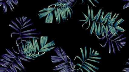 Schilderijen op glas Botanical seamless pattern, hand drawn indoor bamboo palm on black © momosama