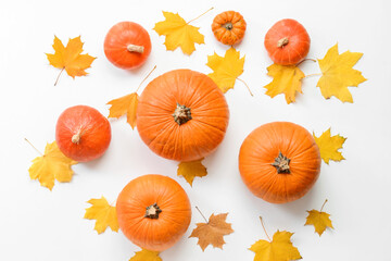 Beautiful autumn composition on white background