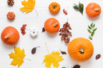 Beautiful autumn composition on white wooden background