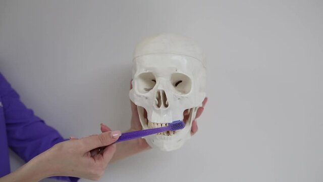 Medical assistant skull proper teeth cleaning, mask, and toothbrush