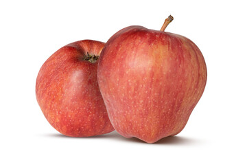Two red apples isolated on white background close-up.