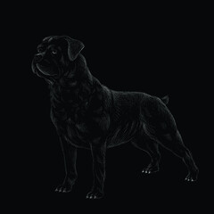 The Vector logo dog rottweiler  for tattoo or T-shirt design or outwear.  Cute print style dog  rottweiler  background. This hand drawing would be nice to make on the black fabric or canvas.