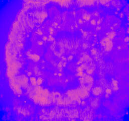 Tie Dye Shirt. Blue Batik Print. Tye Dye Circular 