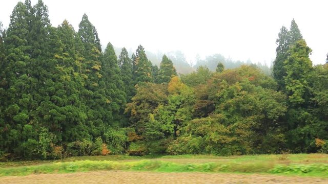 秋の紅葉　田園風景　山と森林　雨の日　移動撮影